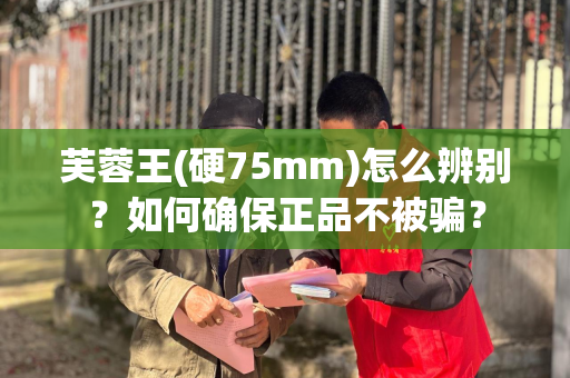 芙蓉王(硬75mm)怎么辨别？如何确保正品不被骗？